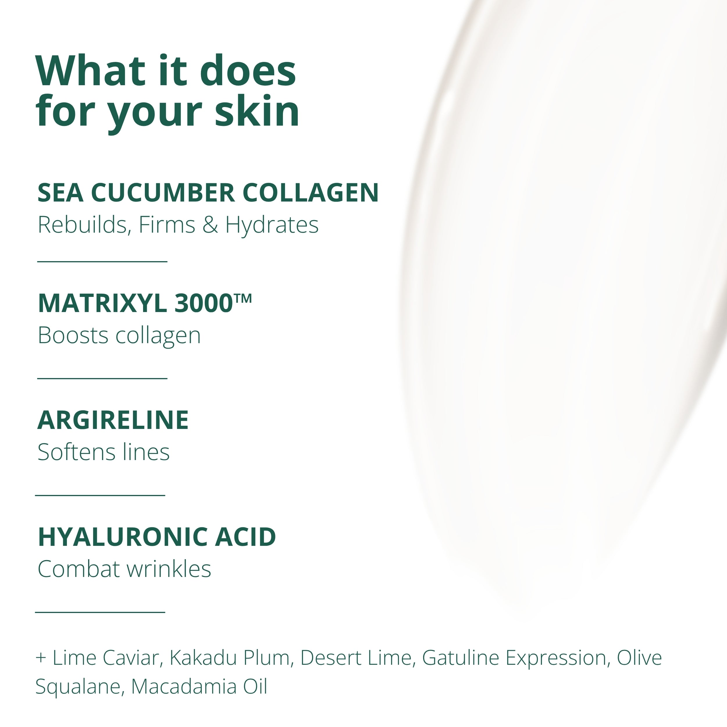 Shoal Sea Cucumber Collagen Anti-Aging Cream