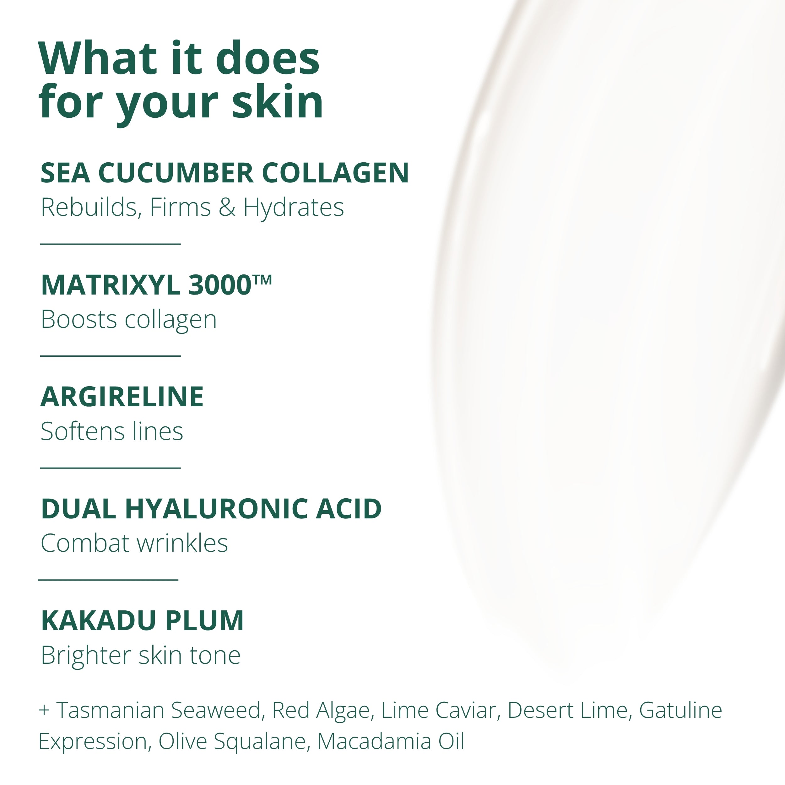 Shoal Sea Cucumber Collagen Cream + Serum Duo