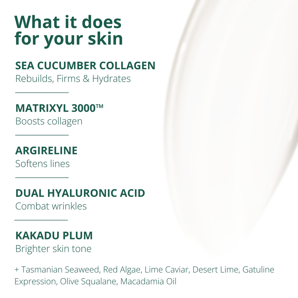 Shoal Sea Cucumber Collagen Anti-Aging Cream + Serum + Gua Sha