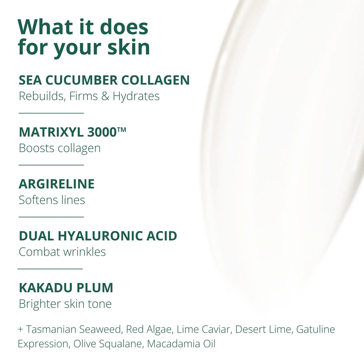 Shoal Sea Cucumber Collagen Cream + Serum Duo