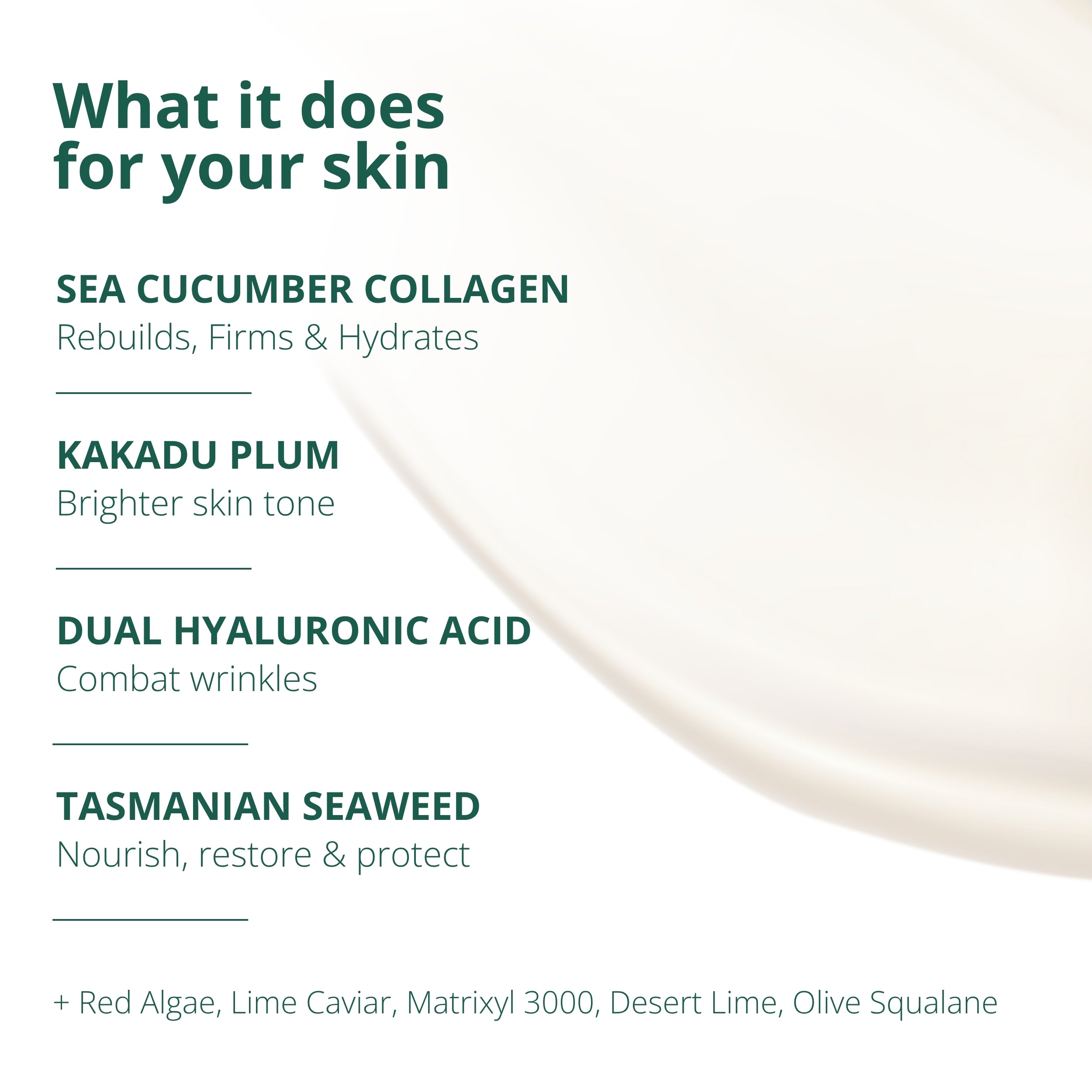 Shoal Sea Cucumber Collagen Rejuvenation Serum