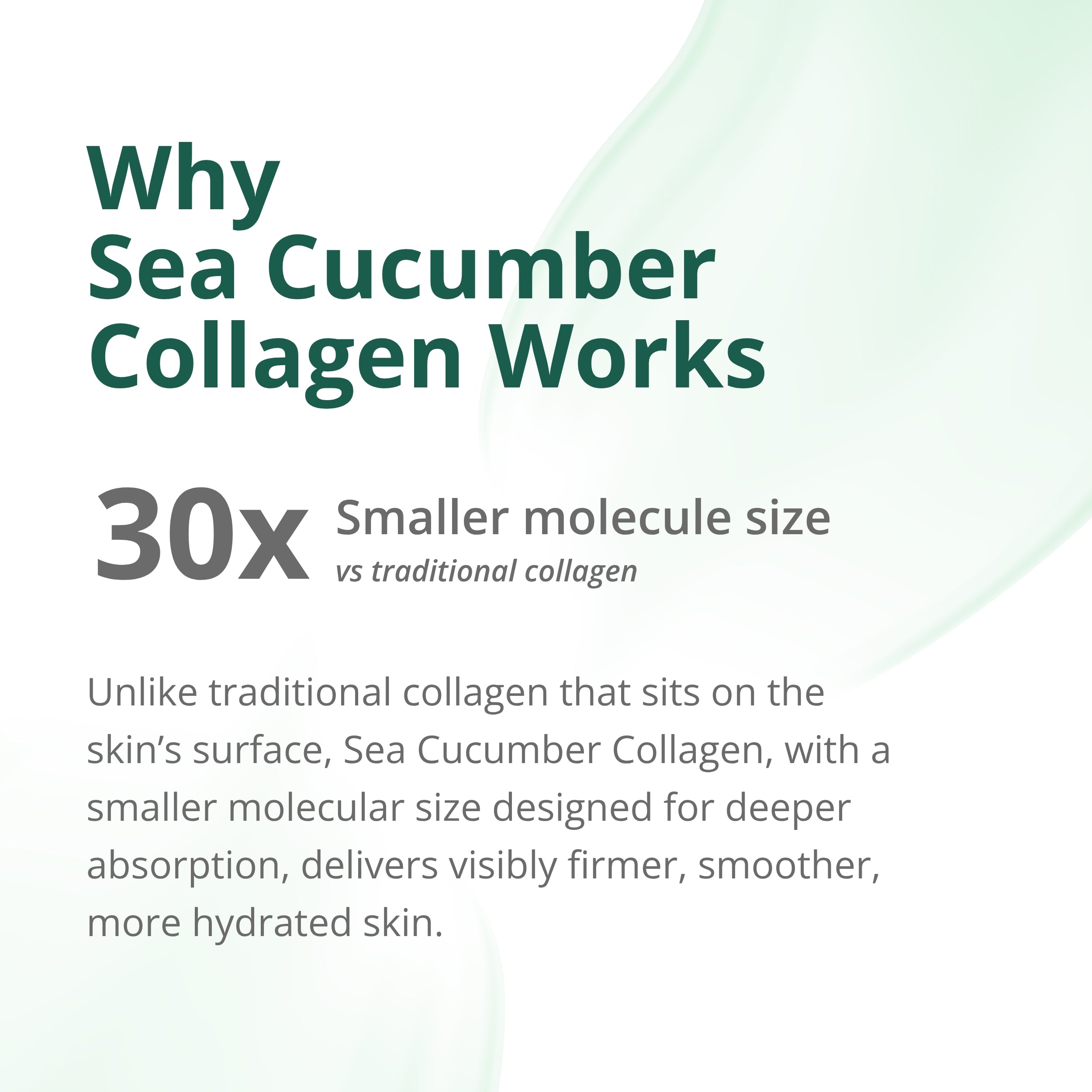 Shoal Sea Cucumber Collagen Rejuvenation Serum