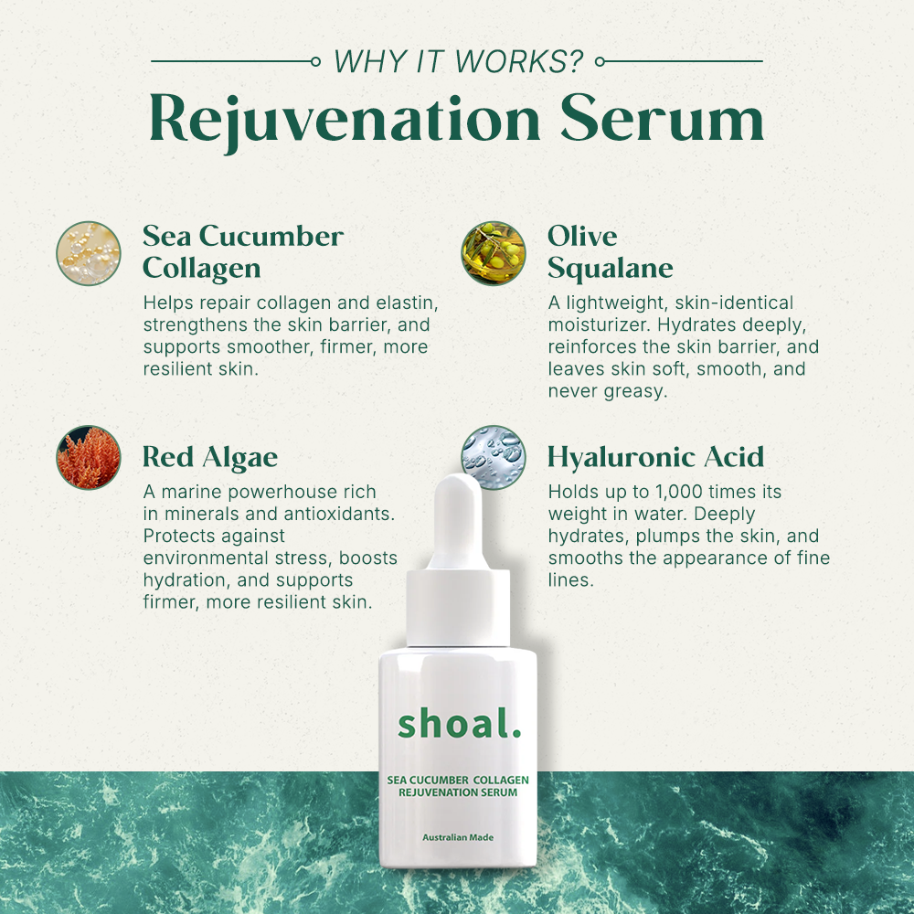 Shoal Sea Cucumber Collagen Rejuvenation Serum