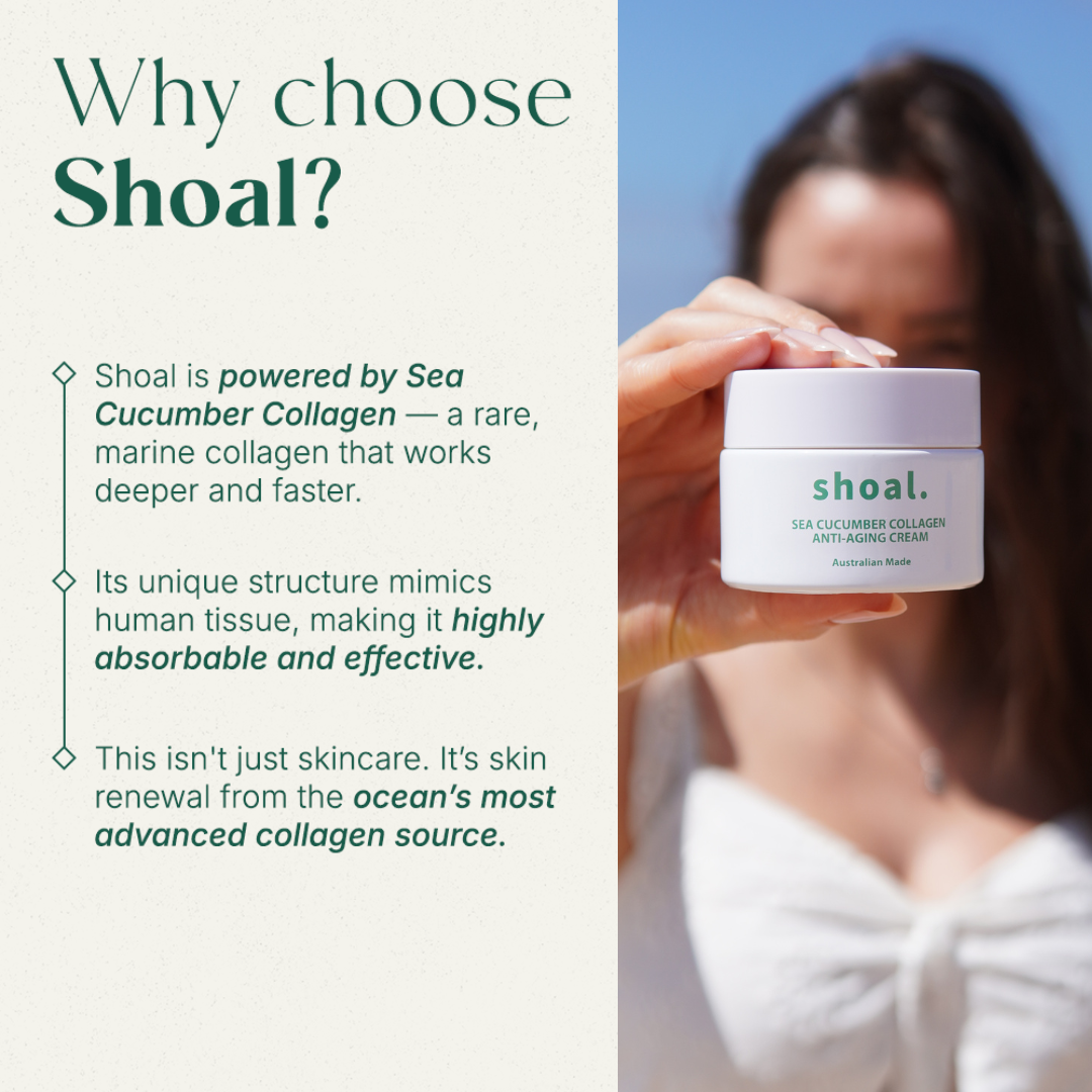 Shoal Sea Cucumber Collagen Anti-Aging Cream