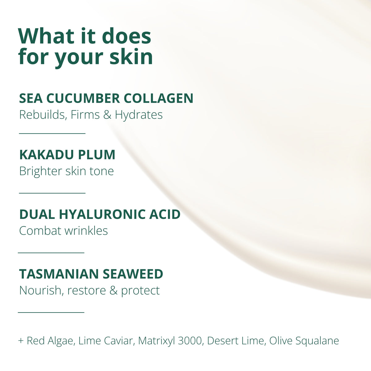 Shoal Sea Cucumber Collagen Rejuvenation Serum