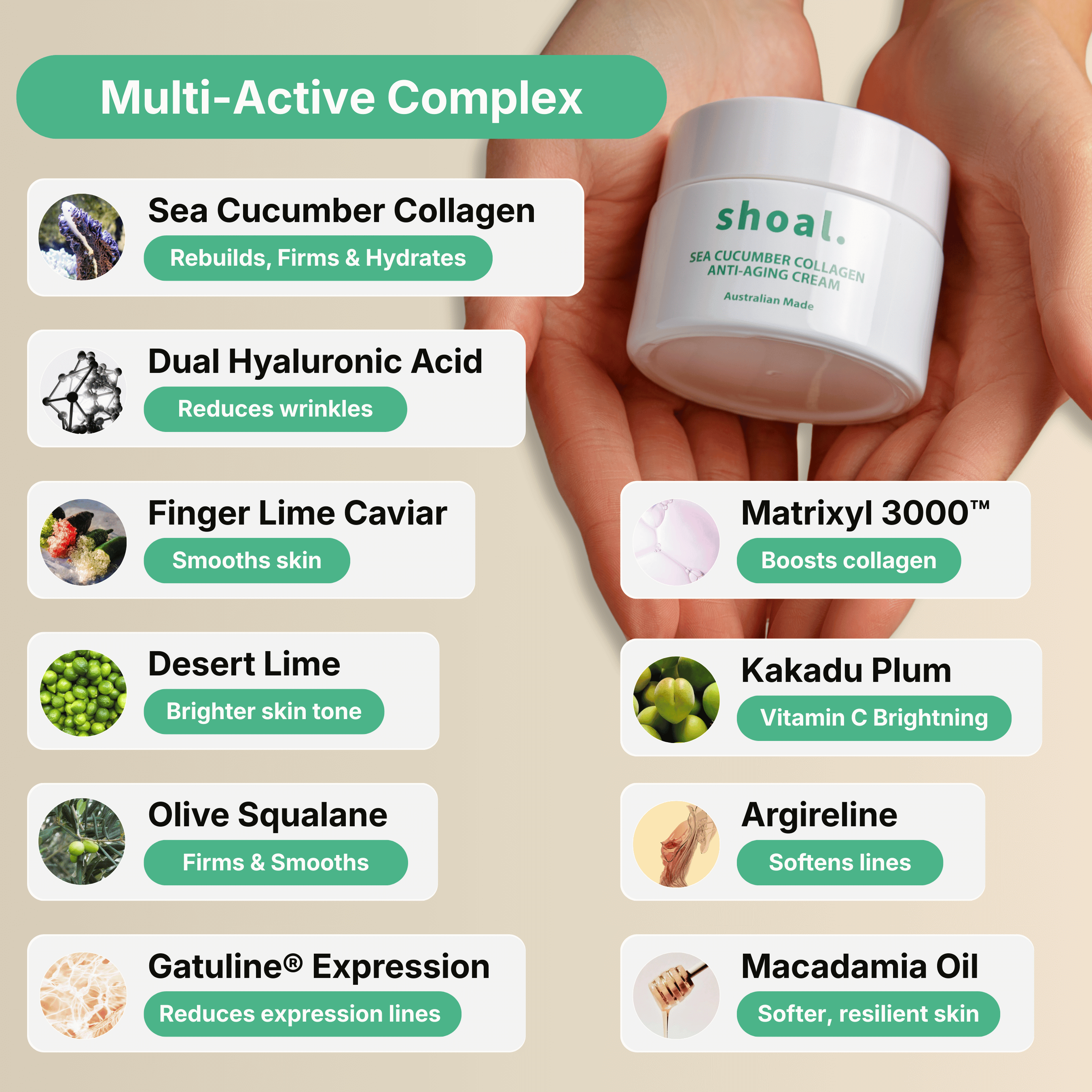 Shoal Sea Cucumber Collagen Anti-Aging Cream