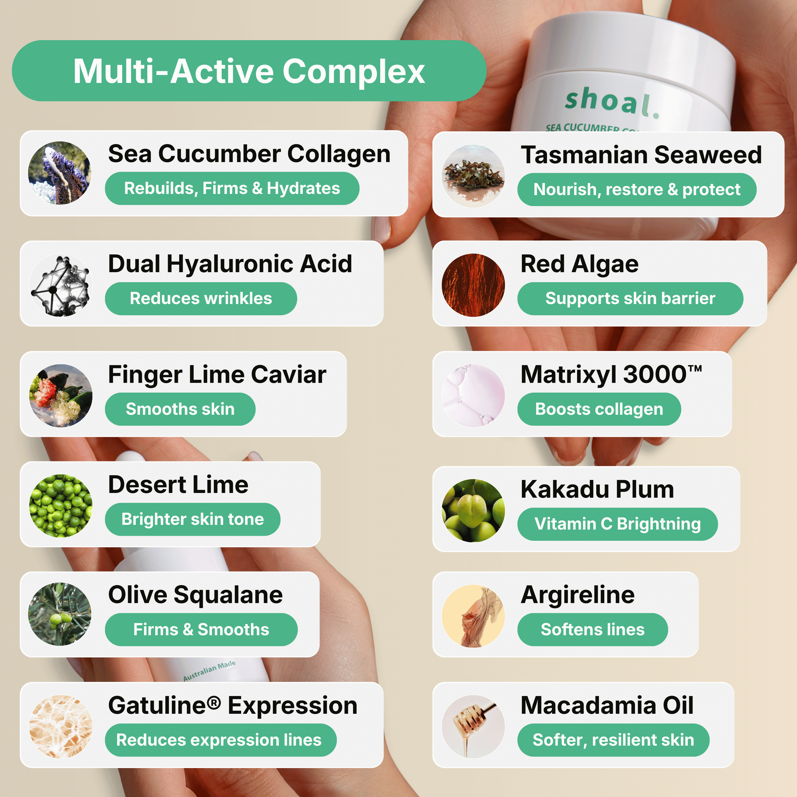 The Shoal Complete Set