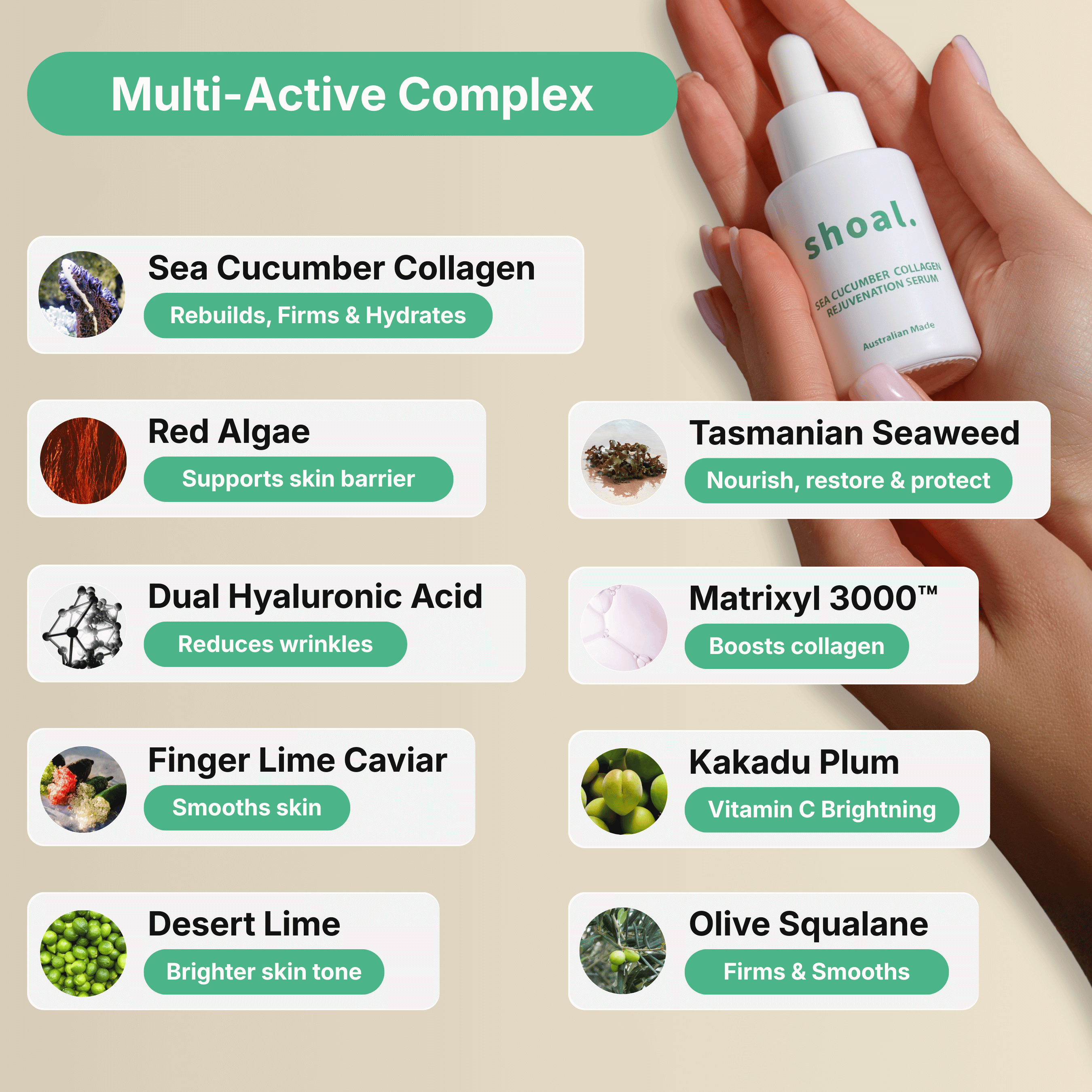 Shoal Sea Cucumber Collagen Rejuvenation Serum